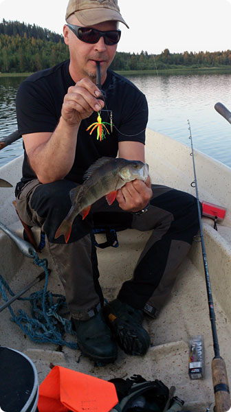 abborre-pa-spinbait.jpg abborre-pa-spinbait.jpg