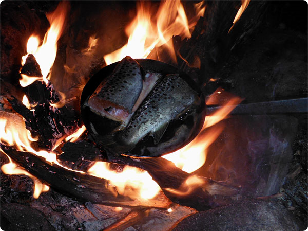 fisk-till-kvallsmat.jpg
