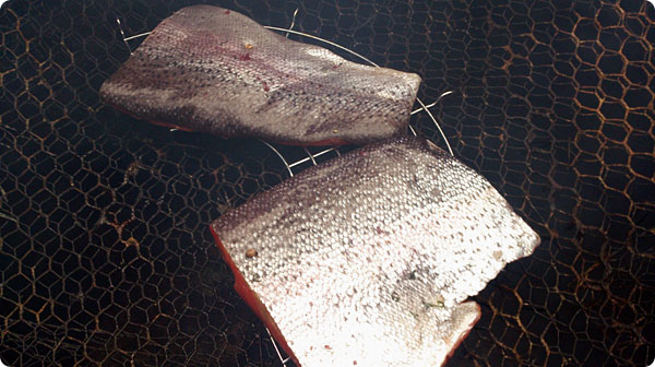 fiskrokning.jpg fiskrokning.jpg