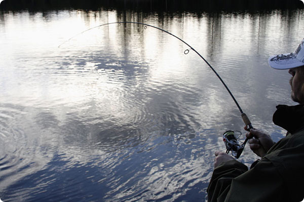 kjella_drillar-teton-trout.jpg