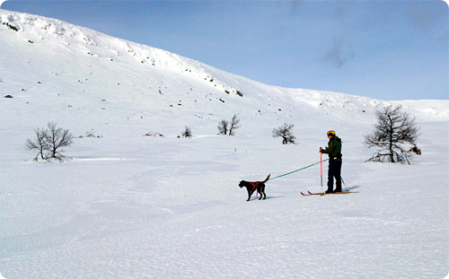 skidtur_nipfjallet.jpg