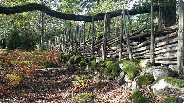 ekgren-garsgard.jpg ekgren-garsgard.jpg