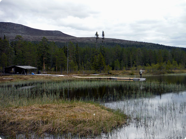 granjestjarn.jpg granjestjarn.jpg