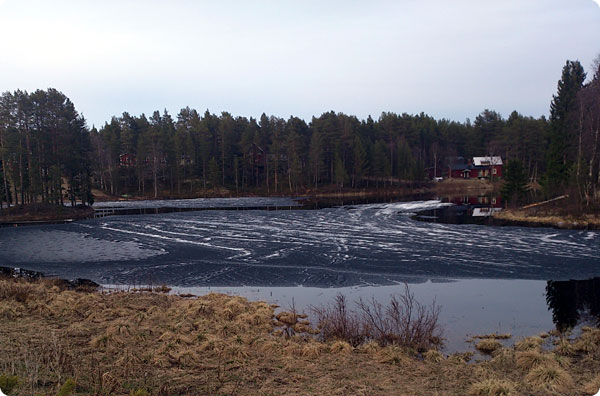 hogsttjarn-20150509.jpg