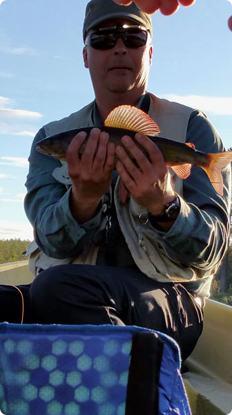 igor-harr-sju-ekto.jpg igor-harr-sju-ekto.jpg