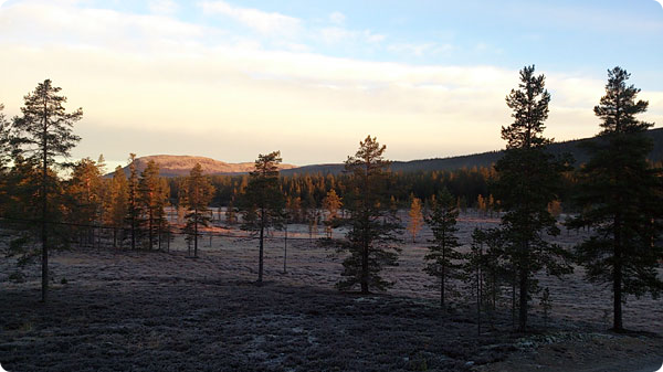 morgonljus-nipfjallet-idre.jpg morgonljus-nipfjallet-idre.jpg