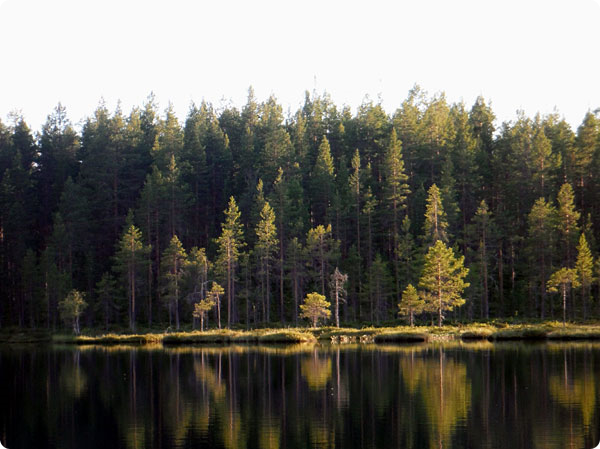 fint-ljus-tjarn.jpg fint-ljus-tjarn.jpg