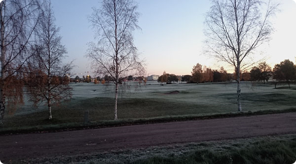 frost-gustavsvik.jpg frost-gustavsvik.jpg