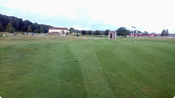 green-gustavsvik.jpg green-gustavsvik.jpg