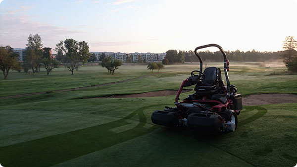 greenklippning-hal17.jpg greenklippning-hal17.jpg