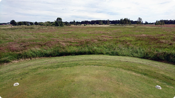 mosjo-hal17-tee.jpg mosjo-hal17-tee.jpg