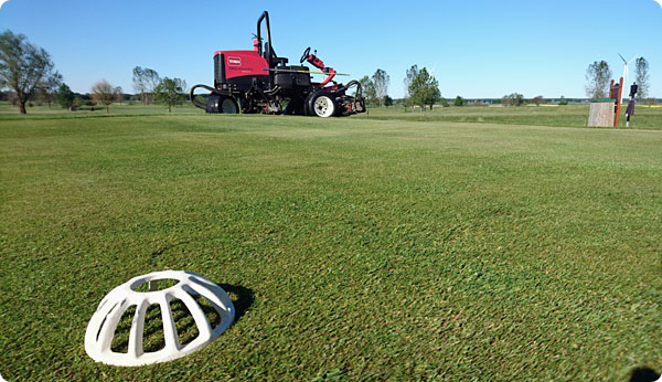 tee-10.jpg tee-10.jpg
