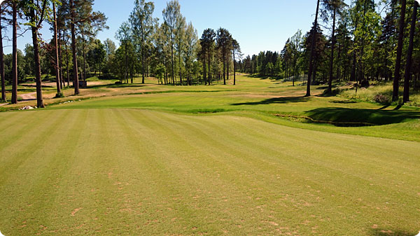 nya-green-tolv.jpg nya-green-tolv.jpg