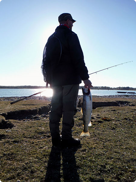 ted-havsoring-66cm.jpg ted-havsoring-66cm.jpg